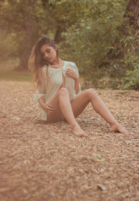 ashleylfrench pornstar nice gallery