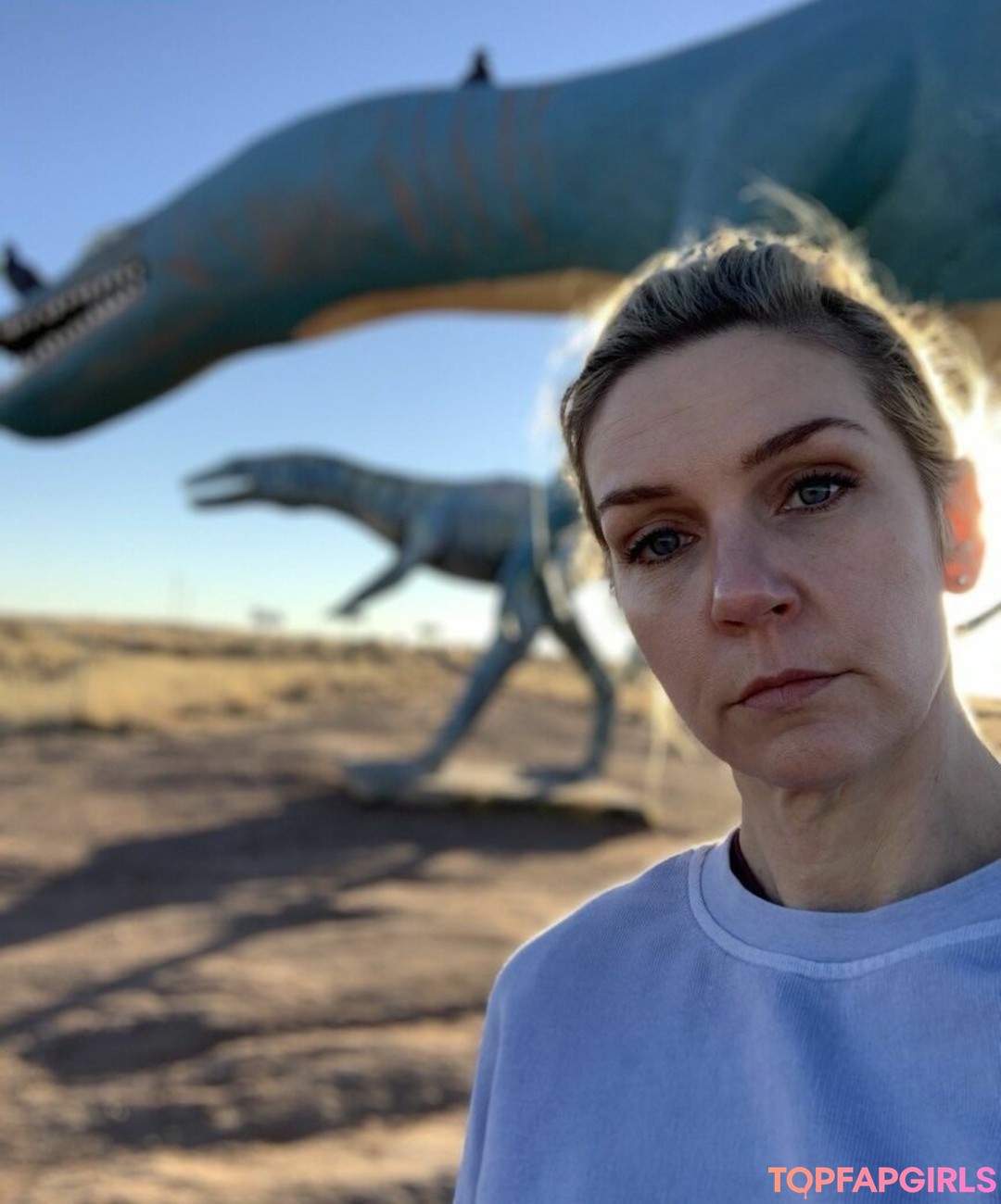 Rhea Seehorn top star image