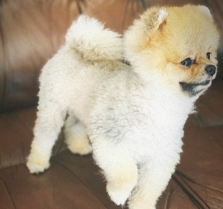 sisters onlyfans hot nude image