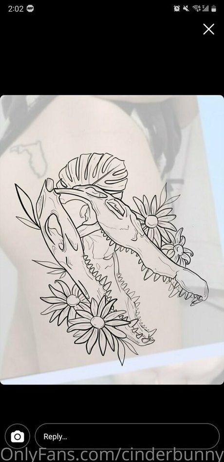 cinderbunnyfree high quality star gallery