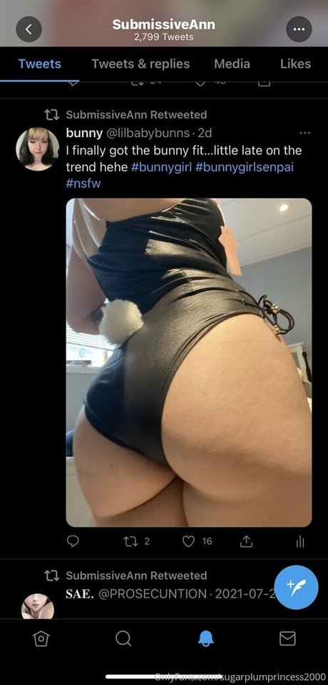 getmeoffpls pornstar sex gallery