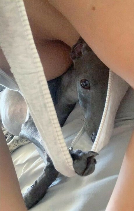 Leticia Lima adult actress pic