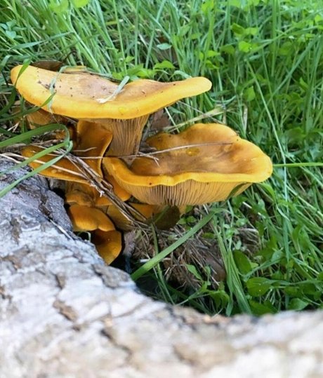 Amethyst Franklin star nudes images