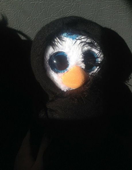 geminiscamp erotic model picture