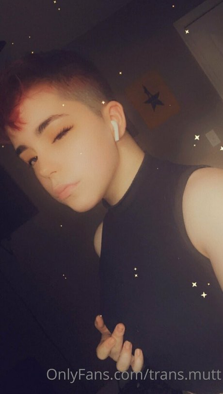 trans mutt star free pictures