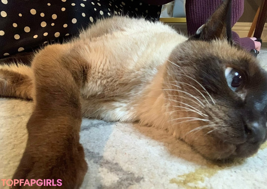 freebunbun pornographic actress archive