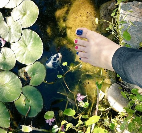 Ashley Soles star nudes galleries