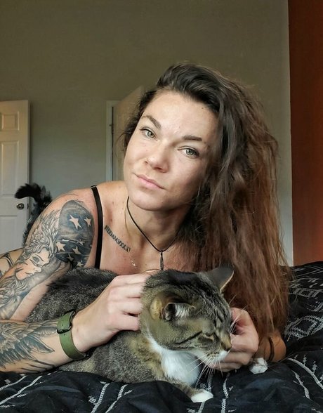 AmericanKat nice star galleries