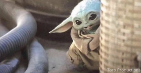 toroproductions beautiful star img