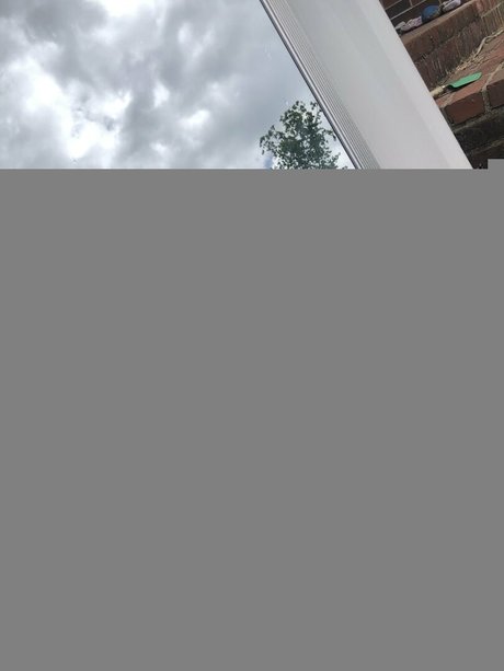 wickedwildrose pornstar nice pics