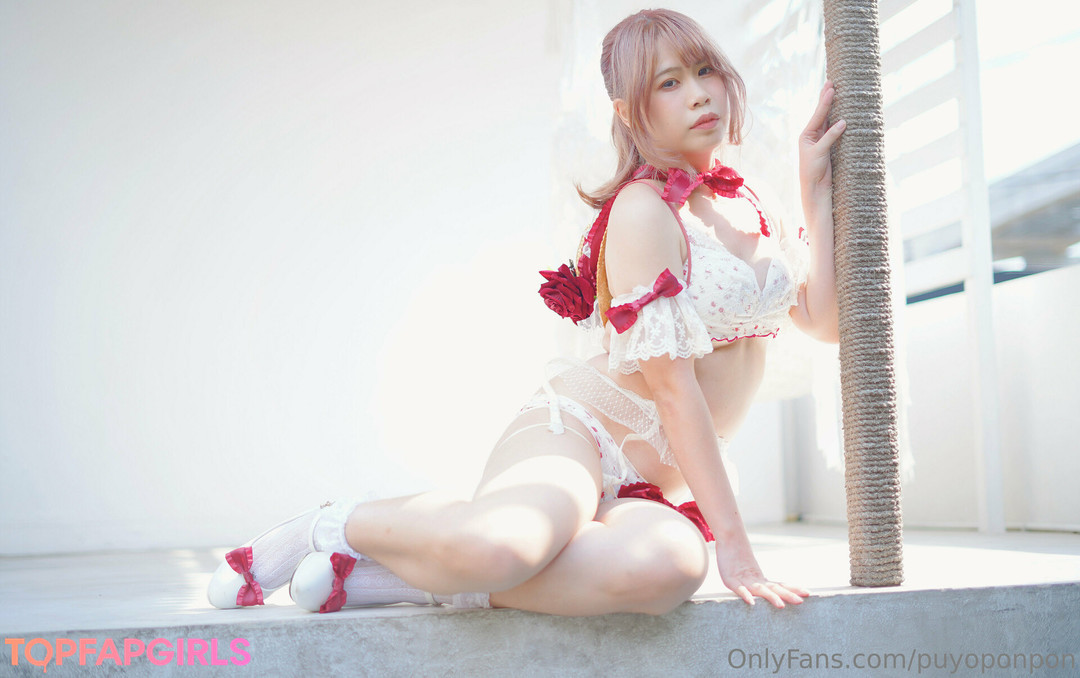 puyoponpon model top img