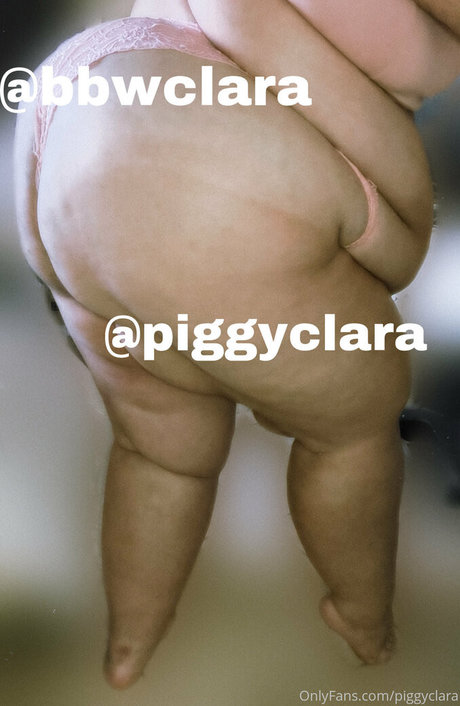 piggyclara star nice archive