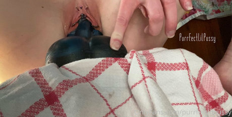 purrfectlilpussy sexy model picture