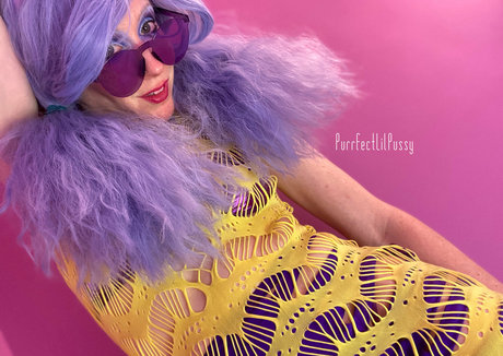 purrfectlilpussy star free img