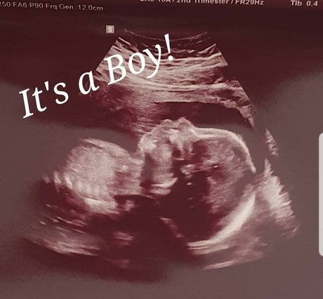 Stephanie Fox beautiful pornstar picture