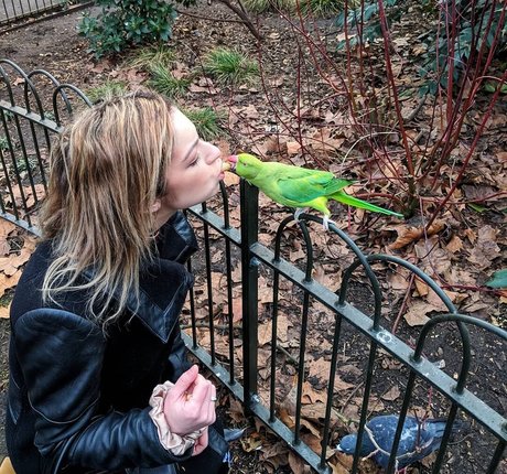 Sydney Meyer high quality star pic