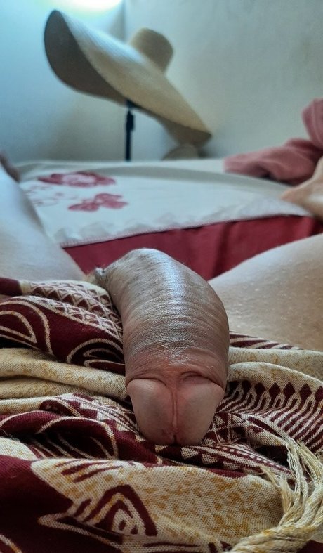 Sabrina Prezotte profile image