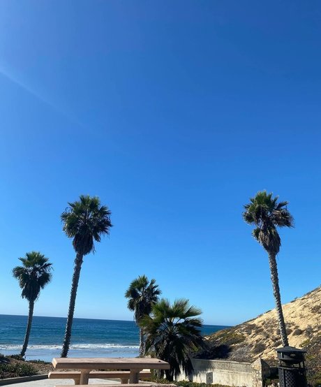 drearoseee pornstar sex pictures