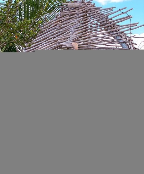 Thalita Nascimento top profile image