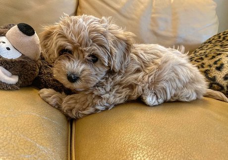 gloryhole wife onlyfans free xxx image