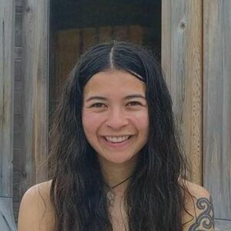 Nic Roams Van Life top actress picture