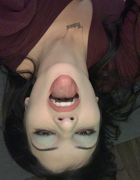 Raven Orion perfect star archive