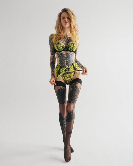 Real Red Fox star perfect images