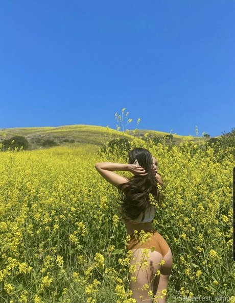 Ssweetest lemon art actress images