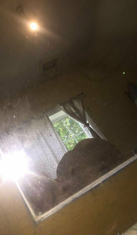 latina maid onlyfans nudes galleries