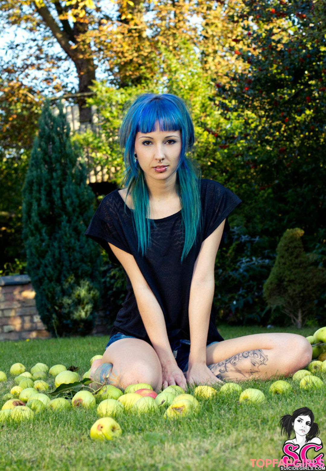 Discordia star perfect photos