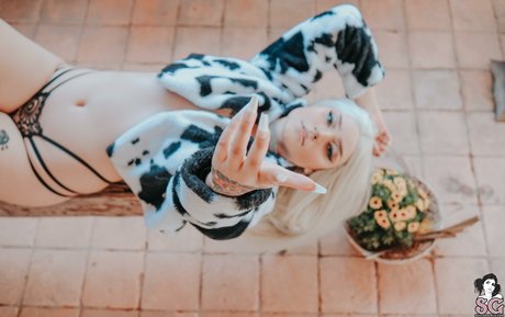 solariez star sex img