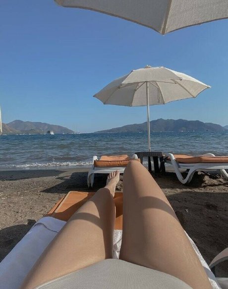 palmoliff art actress pics