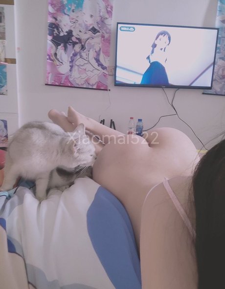 Xiaomai522 beautiful pornstar img