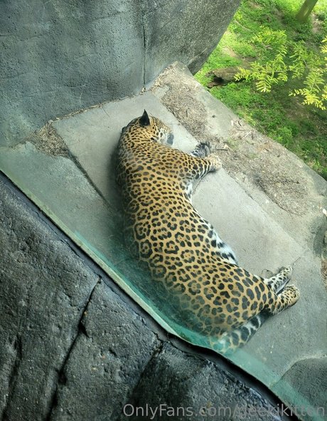 porn star free onlyfans art xxx images