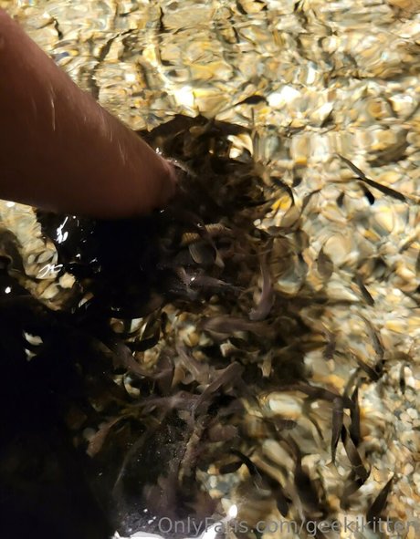 shemale fucks guy onlyfans free xxx gallery