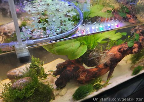 teen natural tits onlyfans sex image