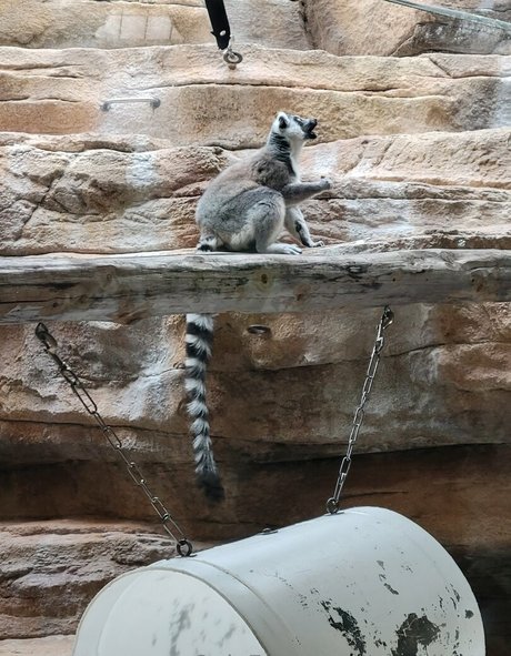 russian mom onlyfans sexy nudes photos