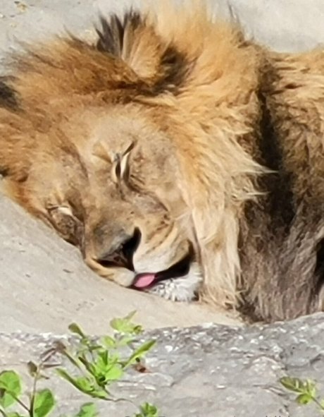 gloryhole wife onlyfans nice img