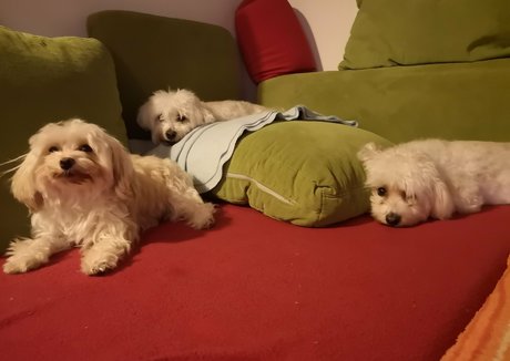 rosszalkodjunk nudes model photos