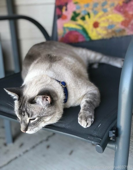 wolf6actual beautiful model picture