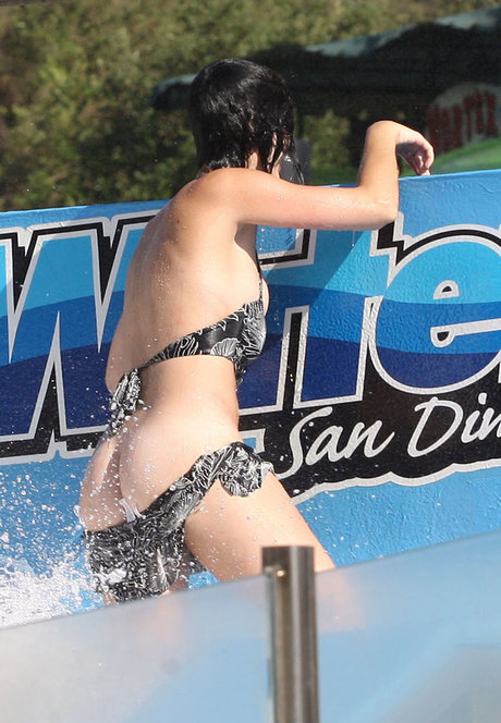 Katy Perry free actress gallery