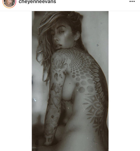 Cheyenne Evans art pornstar images