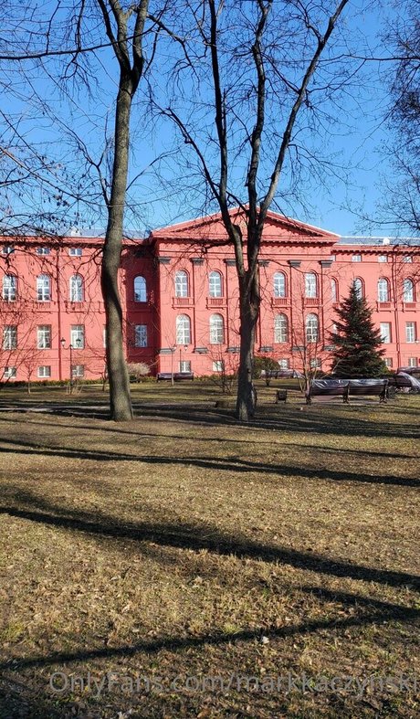 amateur orgy onlyfans sexy archive