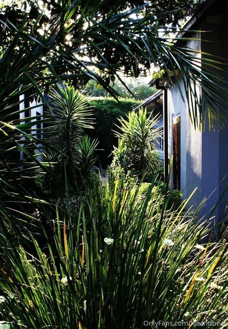 leaandbear high quality pornstar galleries