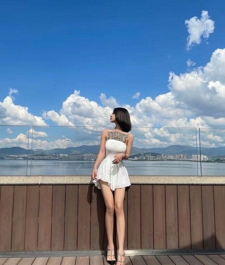 Deer white star free photos