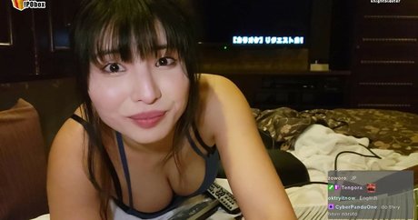 Meowko exclusive model gallery