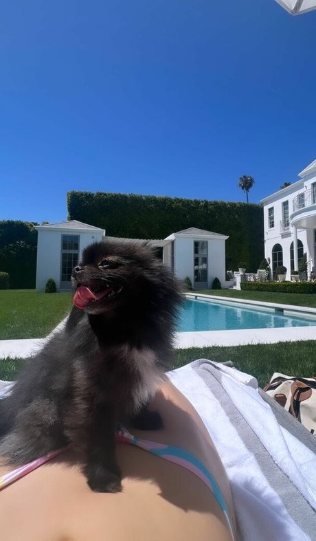 Loren Gray model porn photo