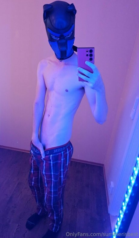 summerisbest art star galleries