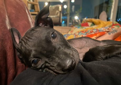 beach sex onlyfans hot naked pictures