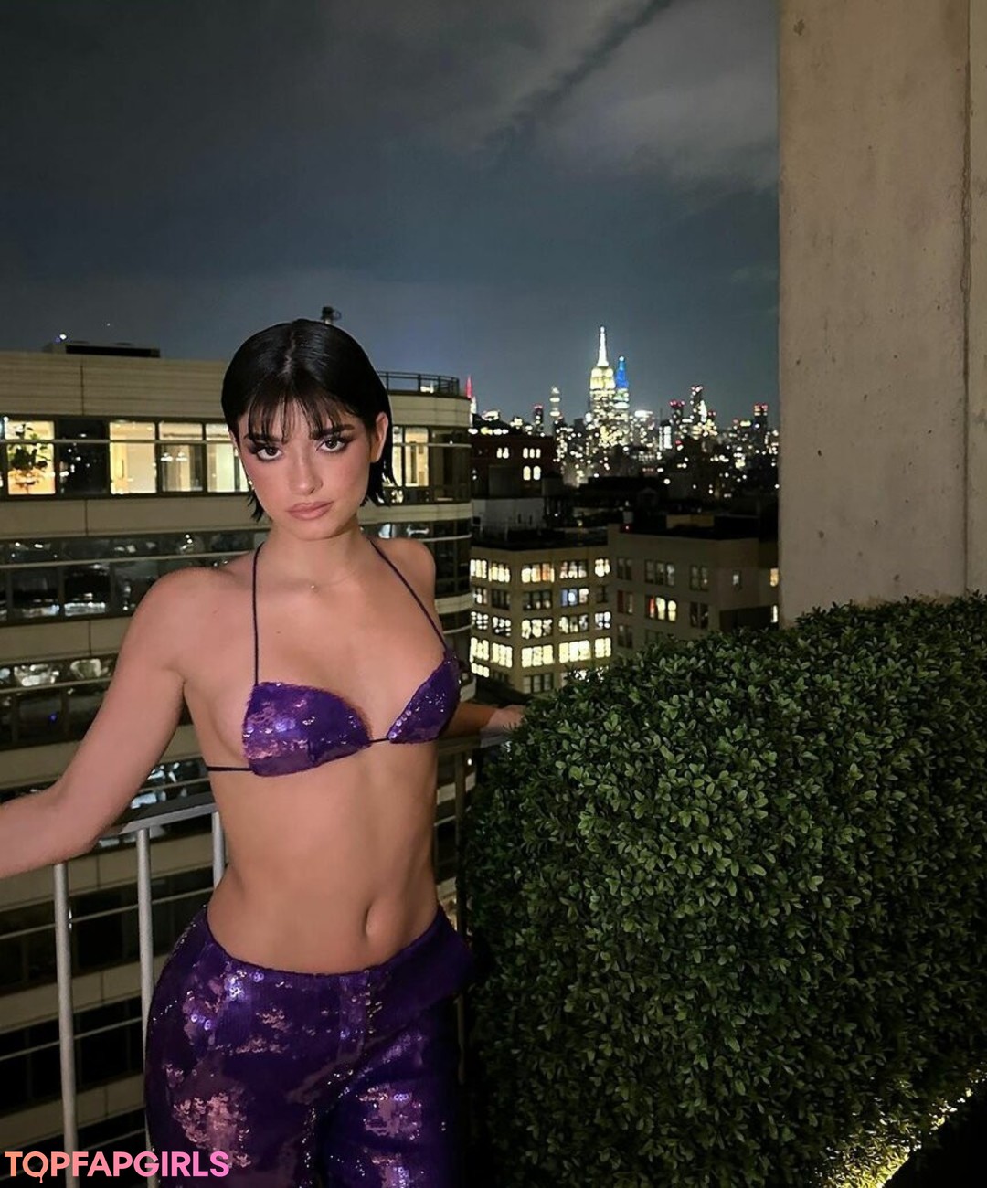 Dixie D Amelio profile image